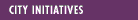 City Initiatives