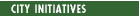 Council initiatives