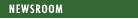 City Council