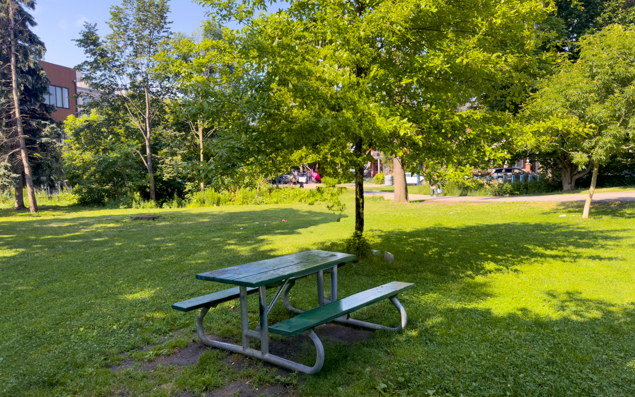 Trinity Bellwoods Park Address