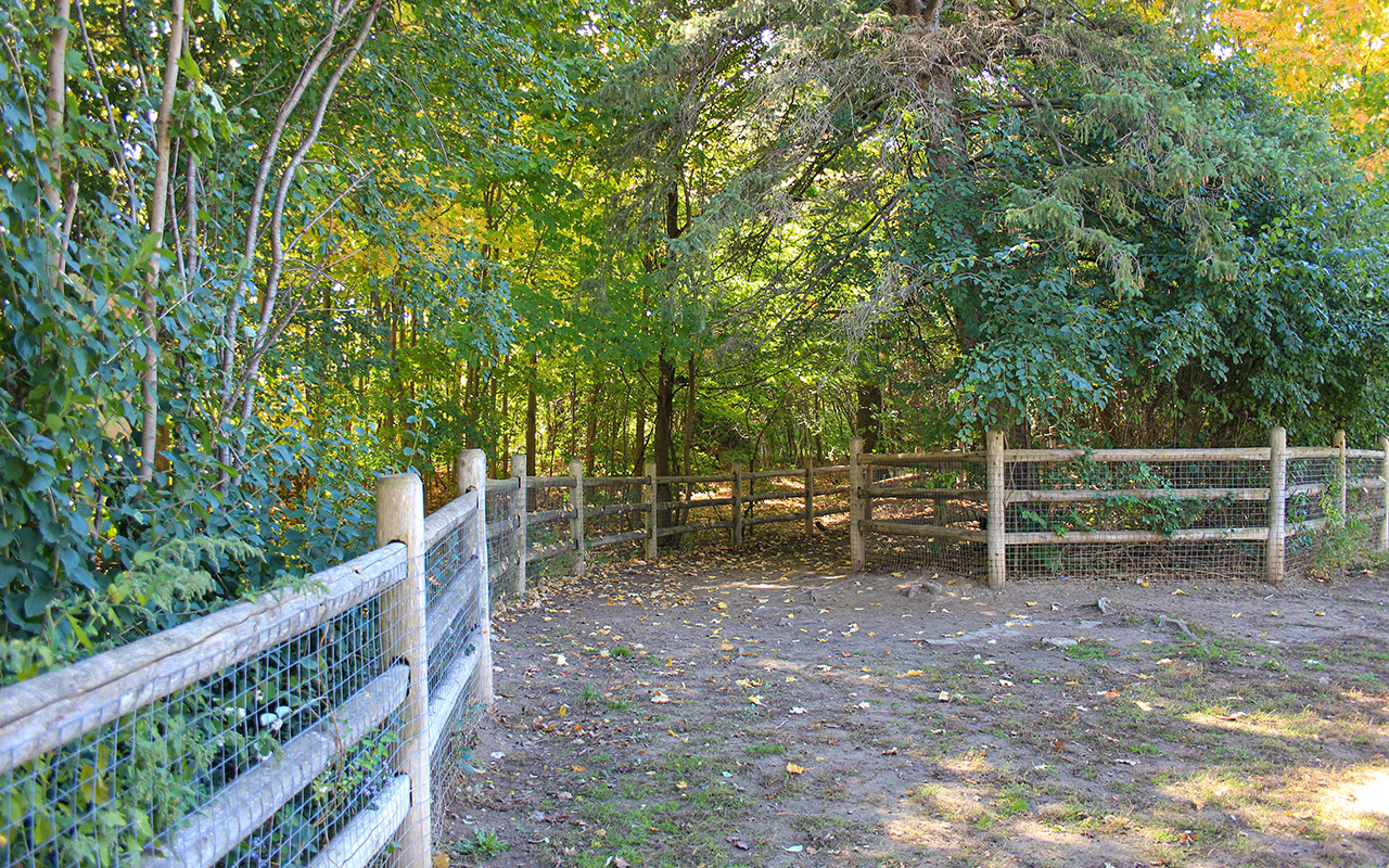 G Ross Lord Park Location