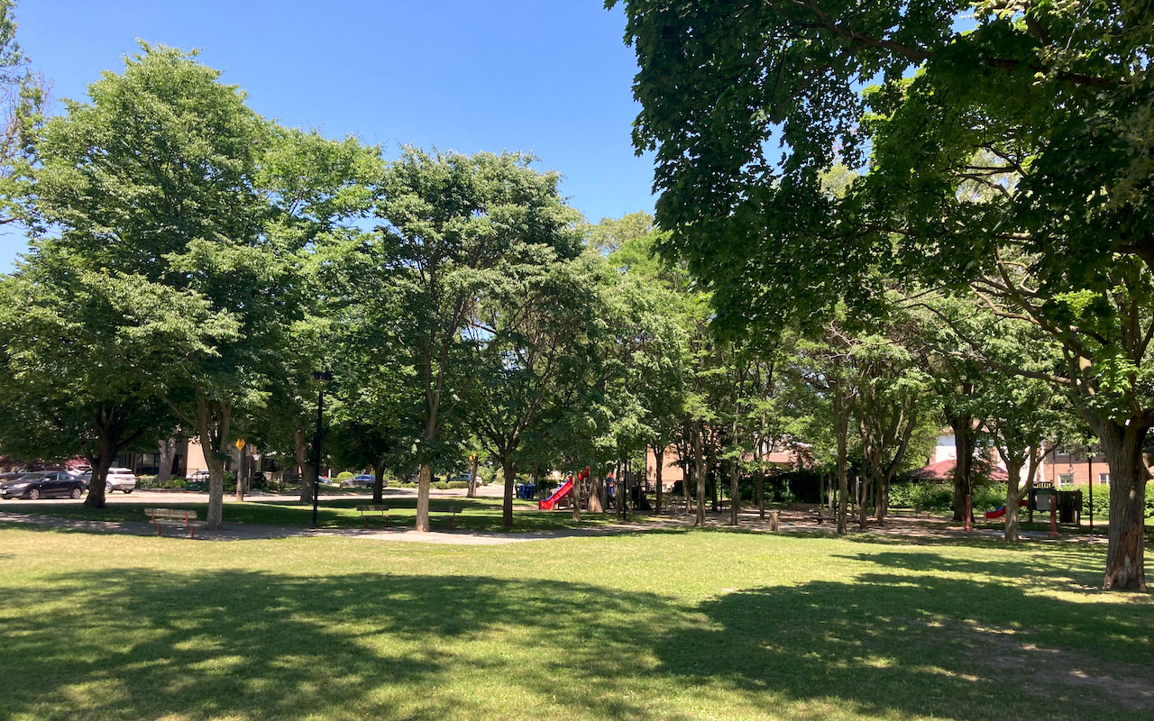 Open lawn surround by trees, playground and splash pad can be seen nestle among the mature trees.