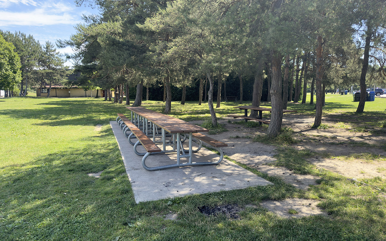 Earl Bales Park On