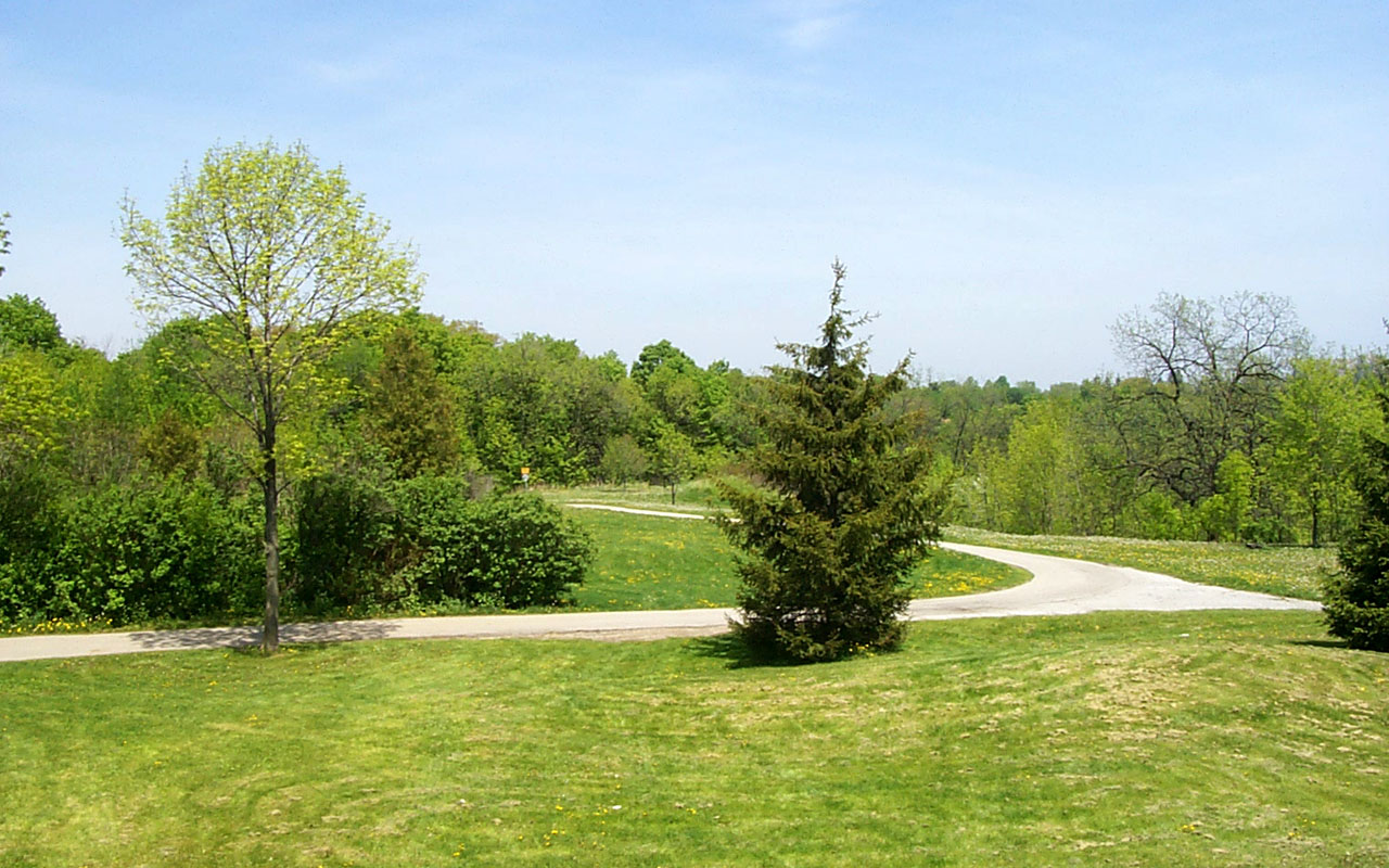 Earl Bales Park Address