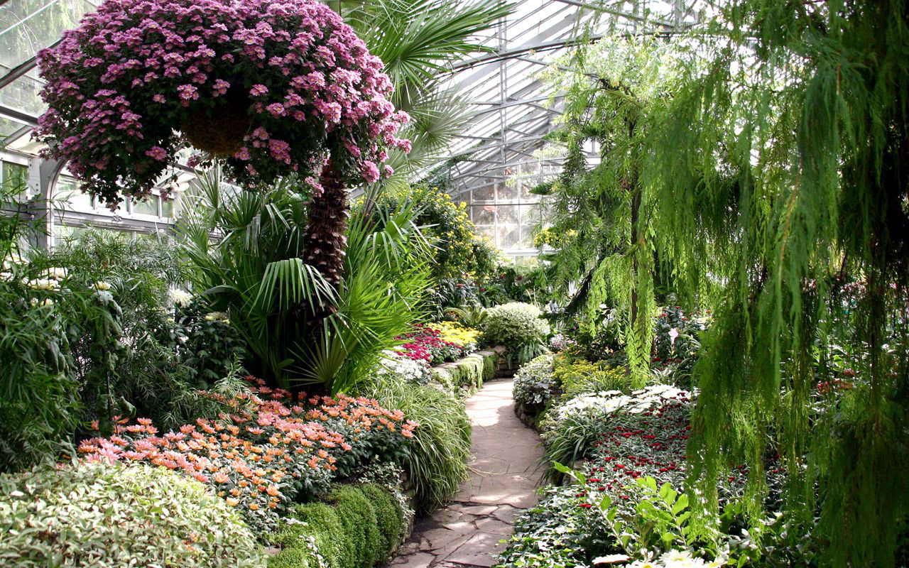 Allan Gardens Hour
