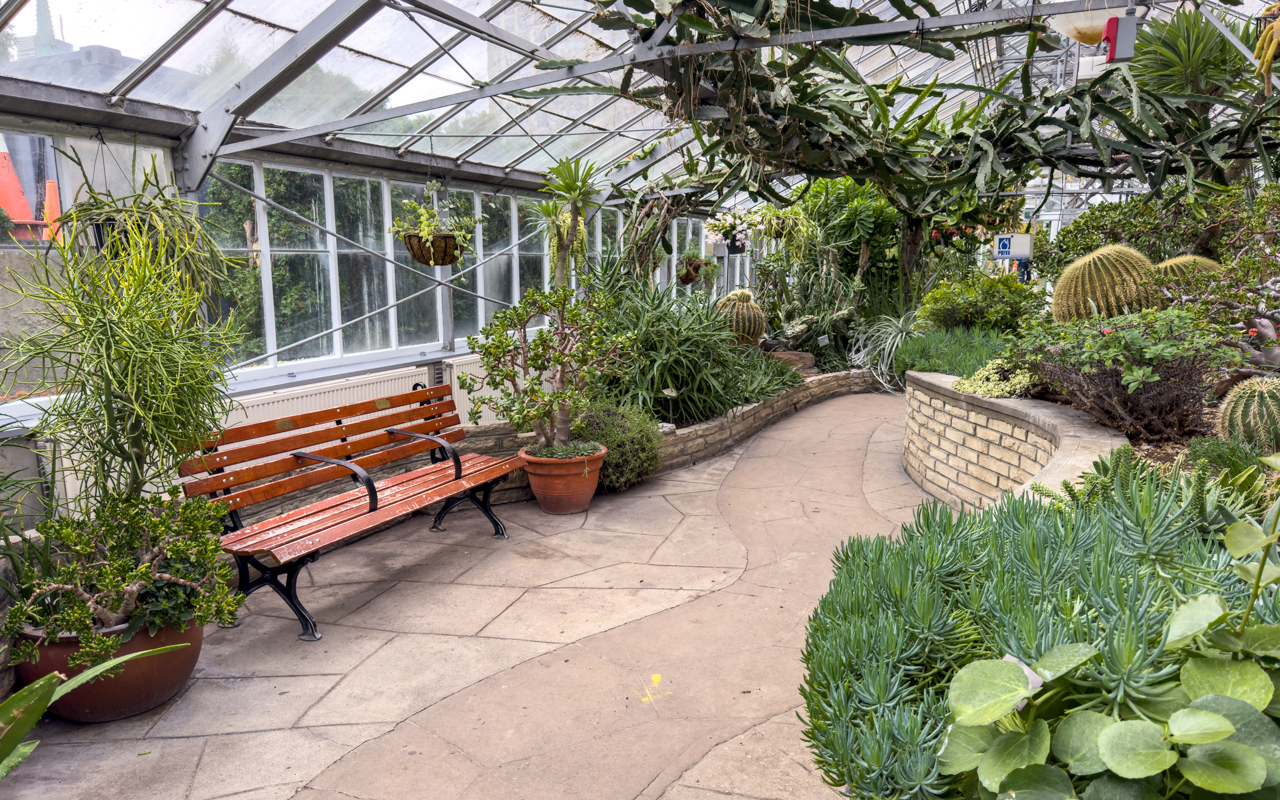 Allan Gardens Parking