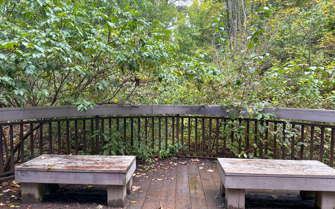 Glen Stewart Ravine