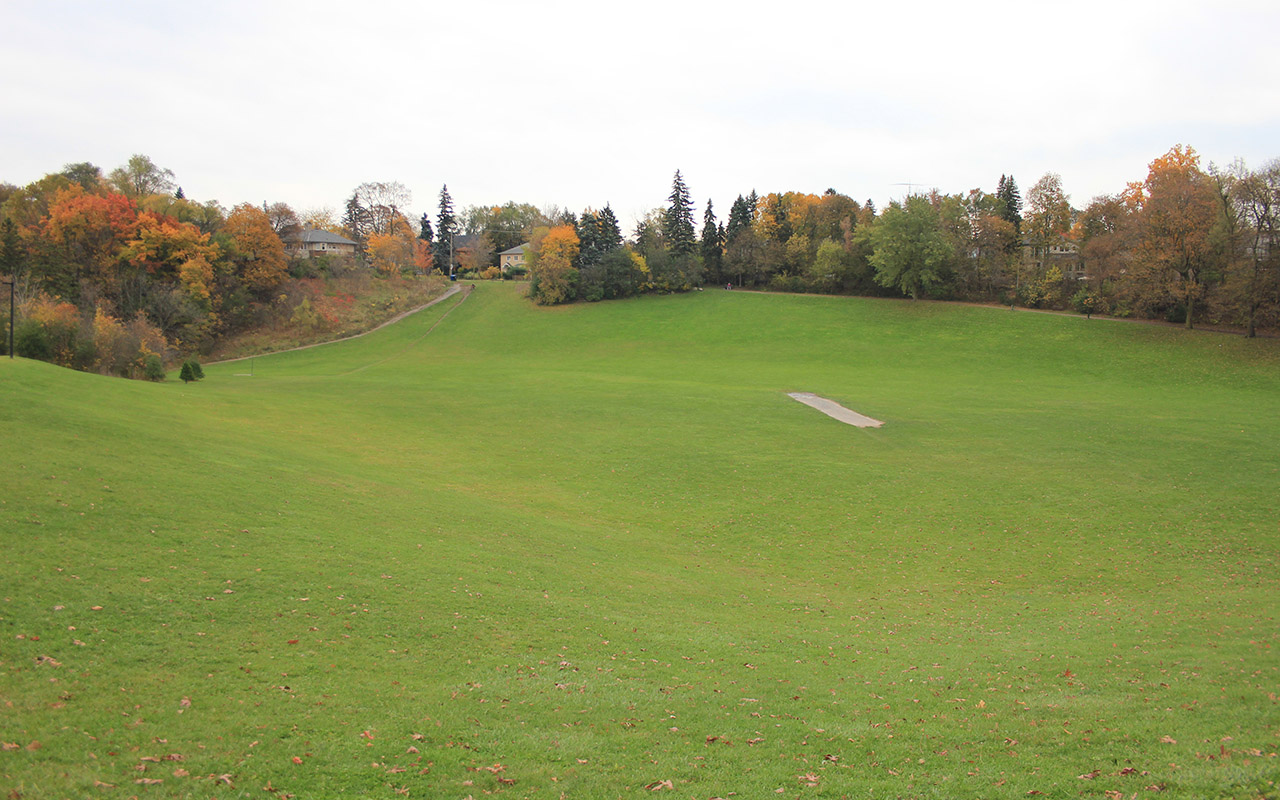 Cricket Pitch Field at Cedarvale Park