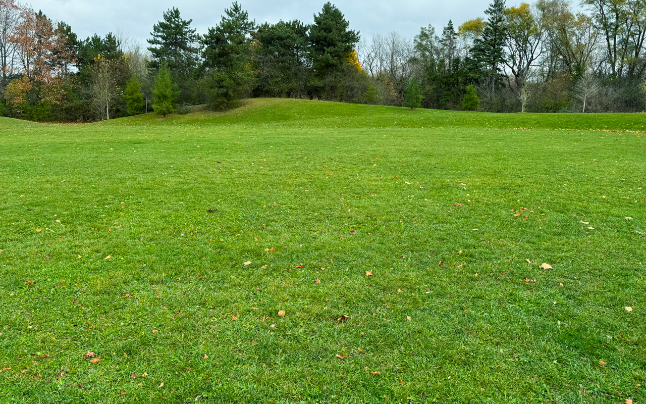 Hidden Trail Park