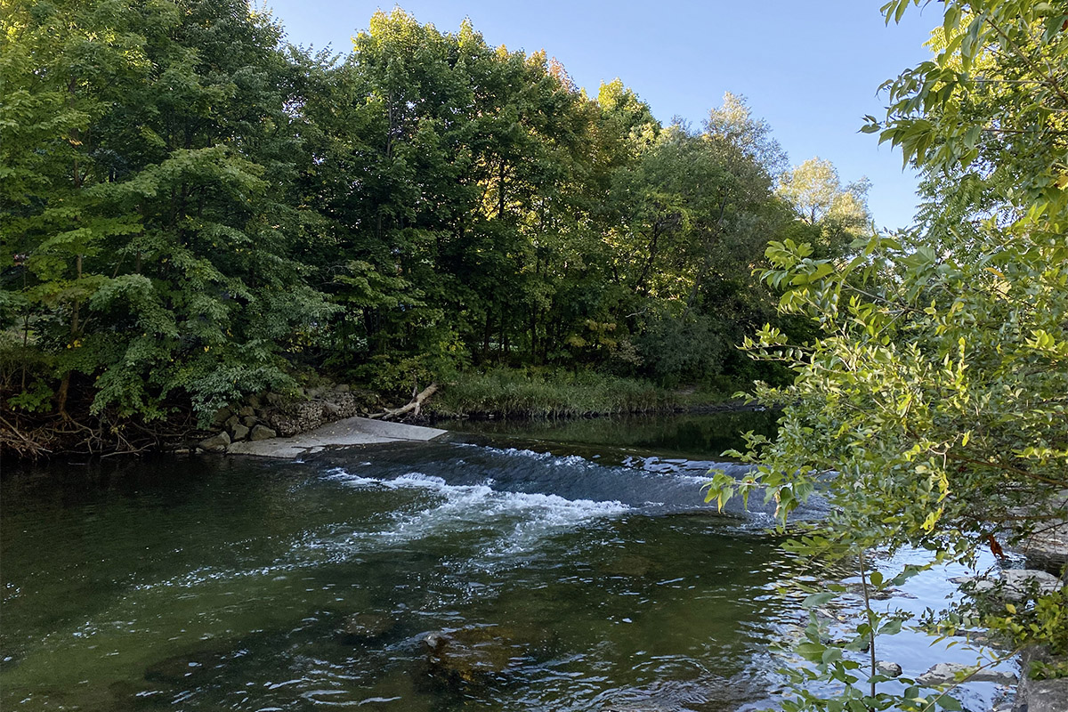 Etobicoke Valley Park
