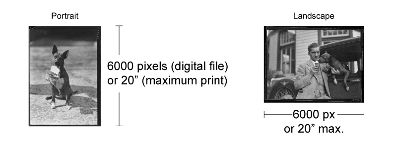 Examples of reproduction image quality.