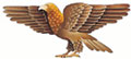 City of Toronto Coat of Arms eliment - eagle with wings outstretched