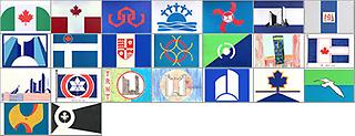 Samples of the designs submitted for the 1974 flag competition: