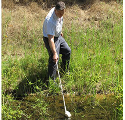 Man collecting mosquito larvae from grassy puddle using instrument.
