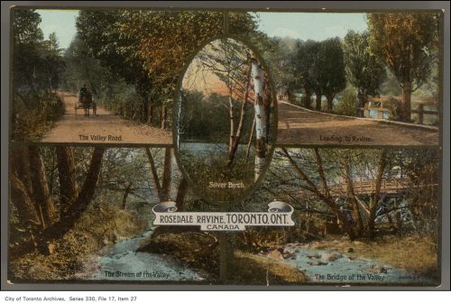 Colour pictures of road, trees and river in ravine park.