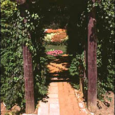 Image of the Northern Ravines Gardens 