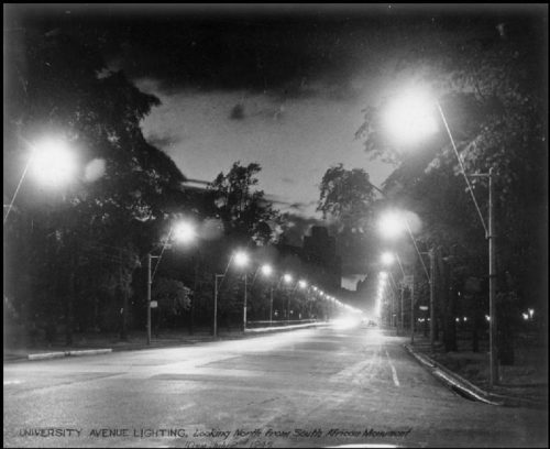 A road lined with trees and lights that meet in two bright lines in the distance.