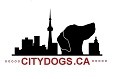 logo for city dogs with Toronto skyline and an illustrated dog