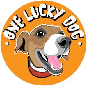 logo for one lucky dog with illustrated dog