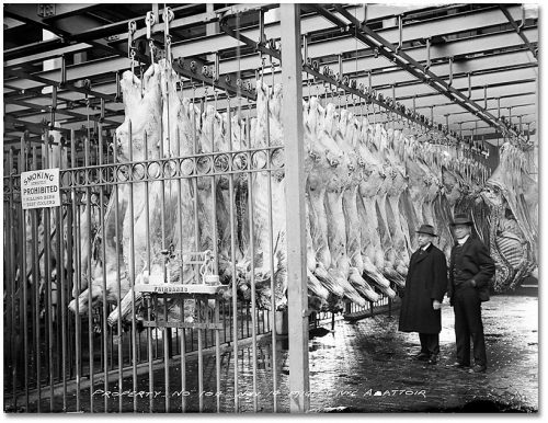 Men in suits stand beside many cow carcasses hanging from the ceiling.