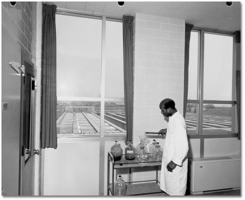 Black man in a lab coat pours liquid into glass bottles; out the window, open tanks of liquid are visible.