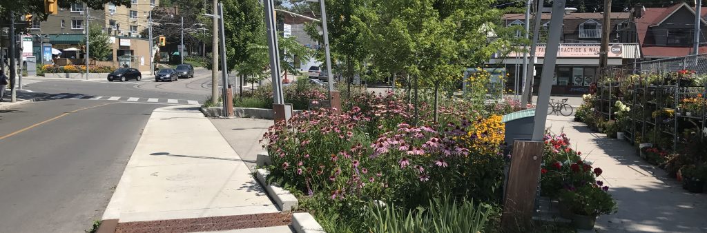 intersection containing large planting area and public seating