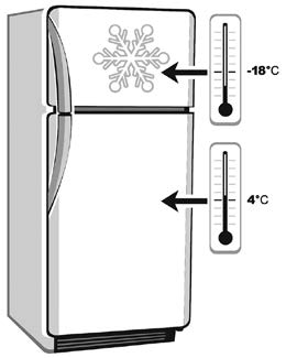 2 door Refrigerator