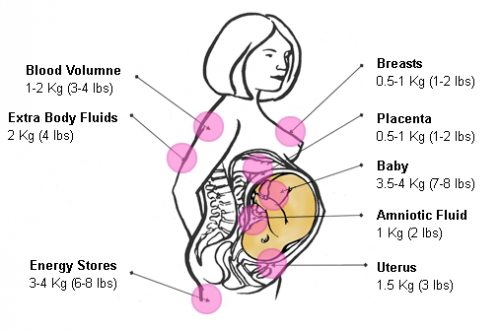 Weight Chart For Babies In Kg During Pregnancy