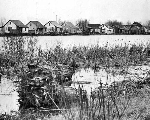 Small lakefront cottages seen across water and swamp