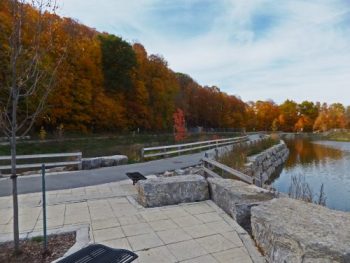 A concrete walking path with a forest in the background