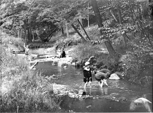 Children playing in a creek surrounded by trees