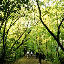 Image of people walking through the belt line gardens