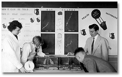 A teacher and teenagers look at rats in cages underneath a wall display explaining the rat feeding experiment.