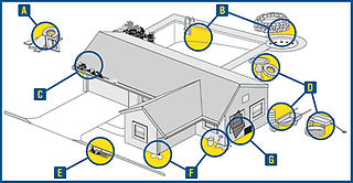 Areas on your property where mosquitoes can breed