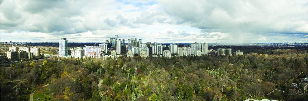 Photo of midtown taking from Mount Pleasant Cemetery looking north