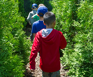 Children running through the maze