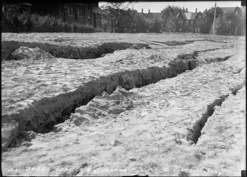 Large area of bare earth with deep cracks in it.