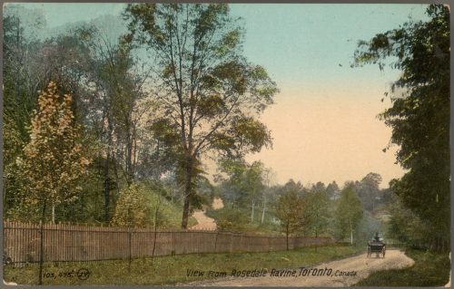 Colour image of road, trees and fence in ravine park.