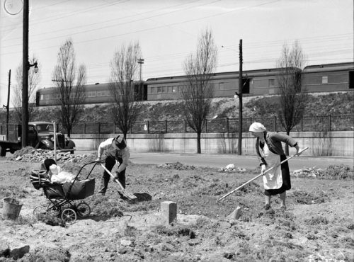 A man and a woman rake and dig a rough patch of soil. A baby carriage stands next to them.