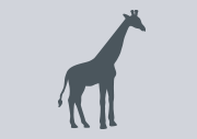 Zoo Icon