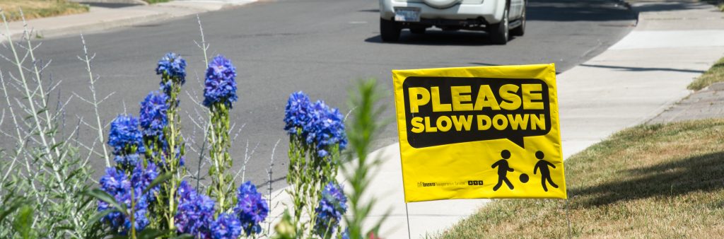 Image of a please slow down sign