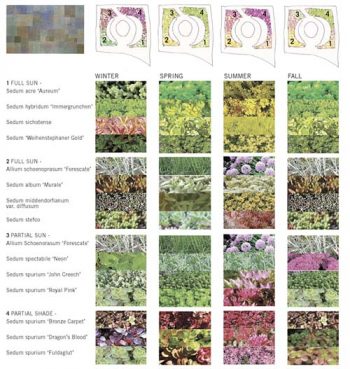 Chart showing the different plants and flowers that will grow on the Podium Green Roof