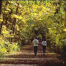 Image of the West Humber River Valley