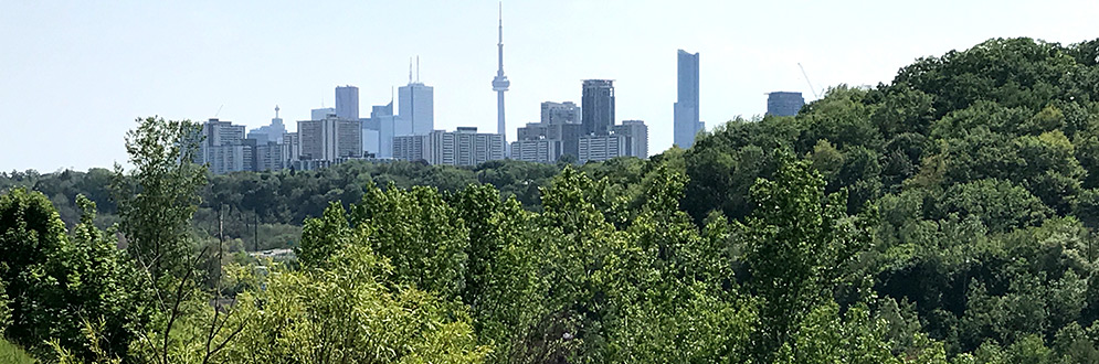 An image of the Toronto skyline with the natural areas of the Don Valley in the foreground