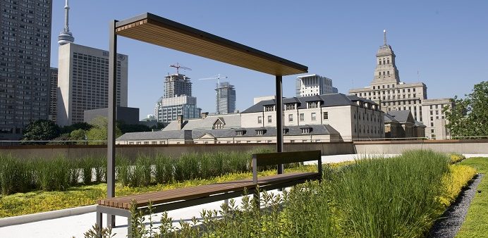 Seating on the Podium Green Roof with downtown buildings as the backdrop