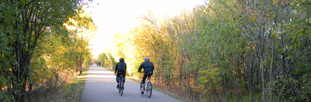 Two cyclists on a sunny trail lined by trees on both sides.