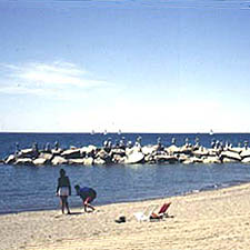 Image of the beaches in Toronto