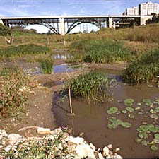 Image of the Don Valley River