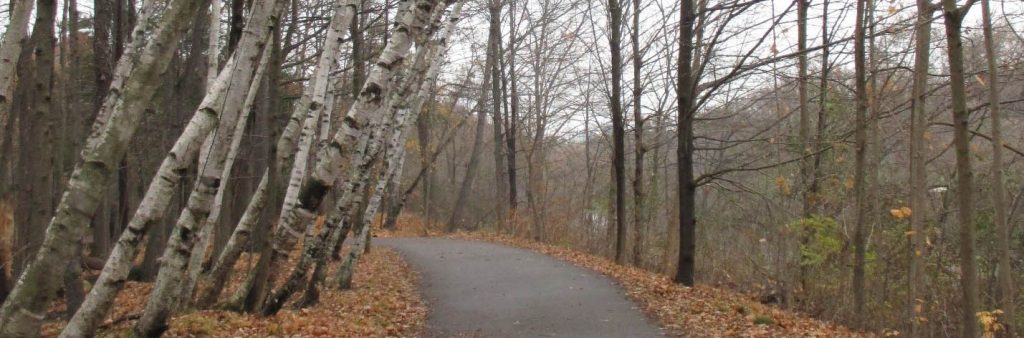 Paved multi-use trail through autumn forestin Lambton Woods ESA