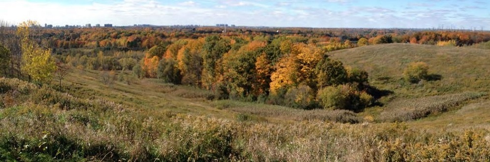 Beare Hill landfill is being transformed into a park